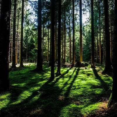 Yamaha USB Microphone Condenser - Variant 7