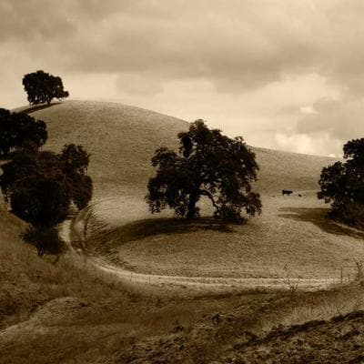 PlanPlus Electrical Inspection - Variant 5