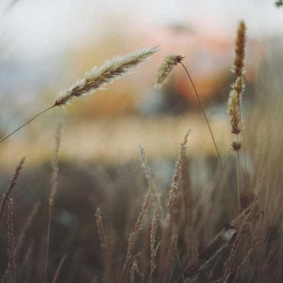 PlanPlus Security Camera Setup - Variant 11