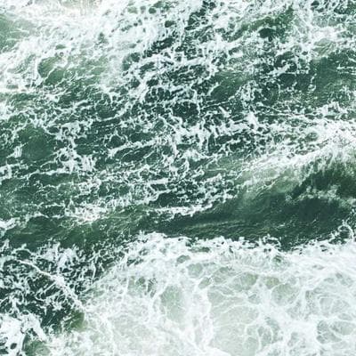 TechAssist Pool Maintenance Monthly