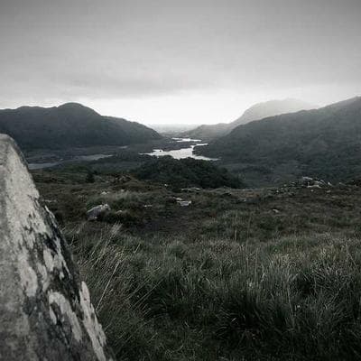 CleanCo Window Cleaning Service - Variant 11