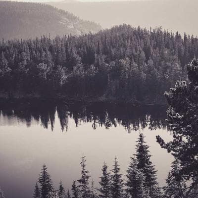 ServicePro Kitchen Design Service - Variant 9