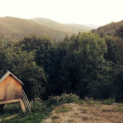 Puma Classic Fit Cotton T-Shirt - Variant 9