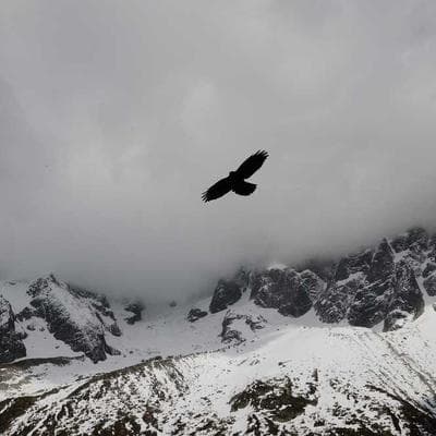 H&M Relaxed Taper Jeans