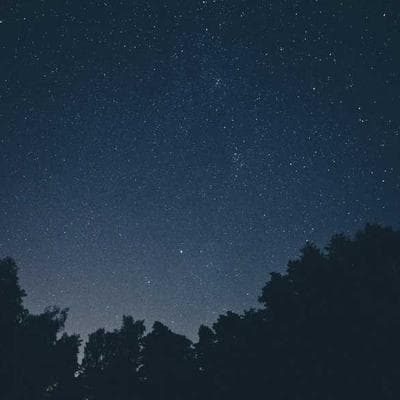 H&M Athletic Socks 6-Pack