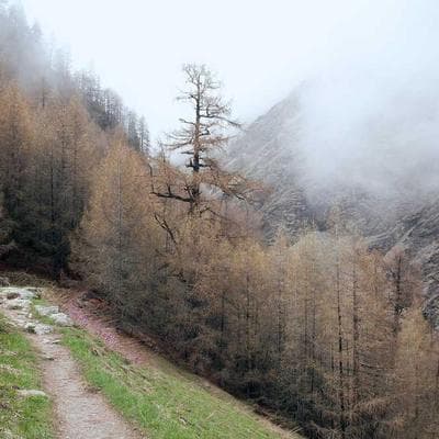 Gillette Liquid Eyeliner Waterproof - Variant 9