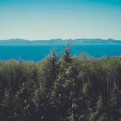 New Balance Water Bottle 9900ml BPA-Free - Variant 10