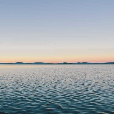 Adidas Whey Protein 33kg Chocolate