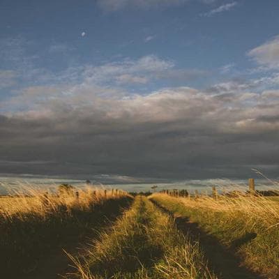 Ravensburger Star Wars Set 83pc - Variant 13