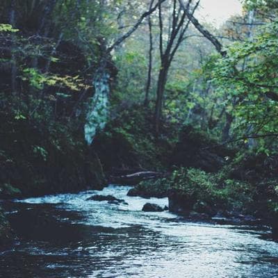 VTech Baby Doll Interactive