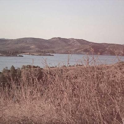 Hot Wheels RC Racing Car 72km/h - Variant 8