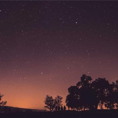 Monopoly Collectible Series 20 - Variant 12