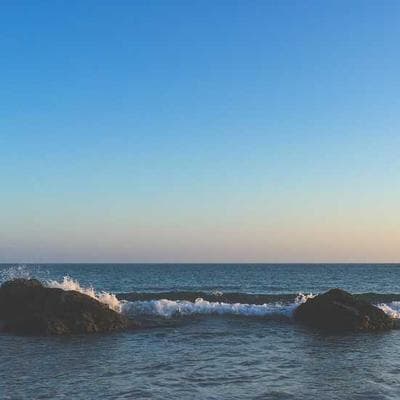 Parker Bullet Journal Grid - Variant 8