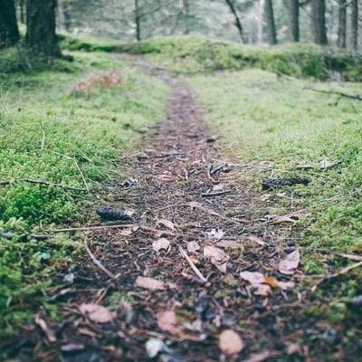 Uni-ball Dotted Notebook 240pg - Variant 13