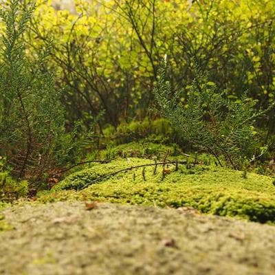 Pilot Gel Pen 8-Pack Colours