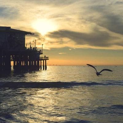 Lenovo Flip 30 Portable Speaker - Variant 10