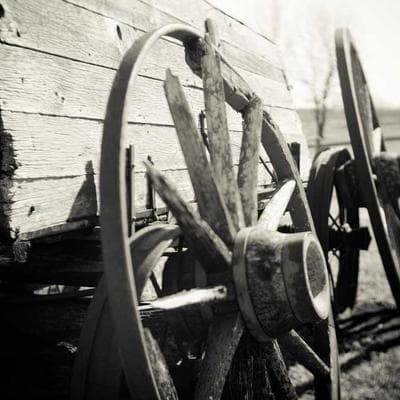 Philips Reverse Camera HD 9°