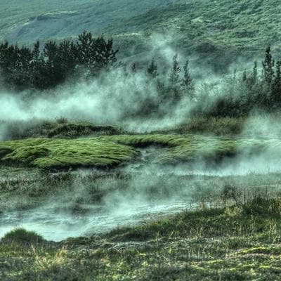 Shell Car Cover All Weather - Variant 6