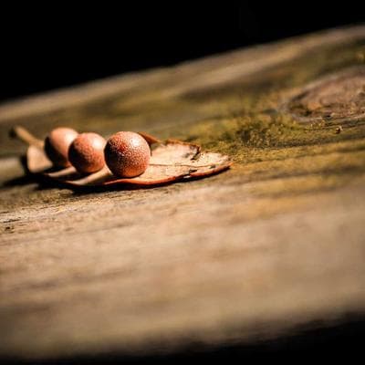 Philips Jump Starter Portable 67000A - Variant 5