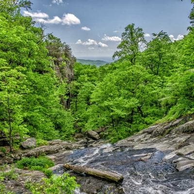 Continental Socket Set 17pc 1/2" - Variant 9