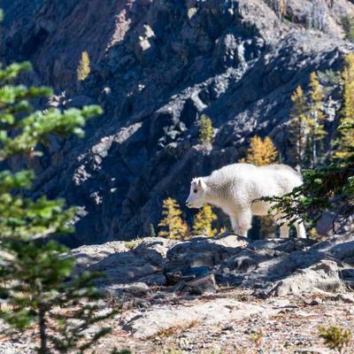 Keter Garden Hose 2m Expandable