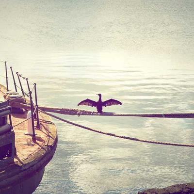 Gardena Spade Stainless Steel