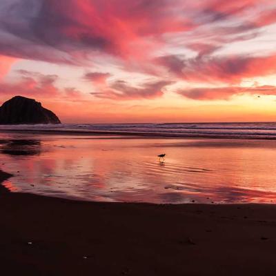 Keter Garden Bench Teak 6250cm - Variant 5