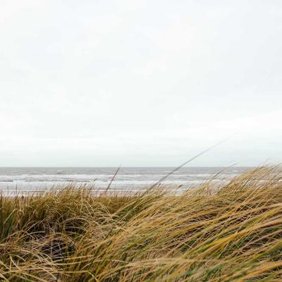 Fiskars Lawn Fertiliser 95kg - Variant 6