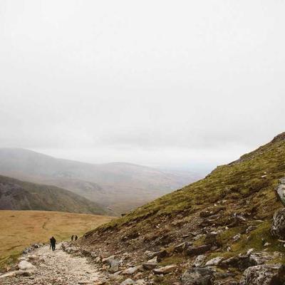 Scotts Lawn Fertiliser 62kg - Variant 8