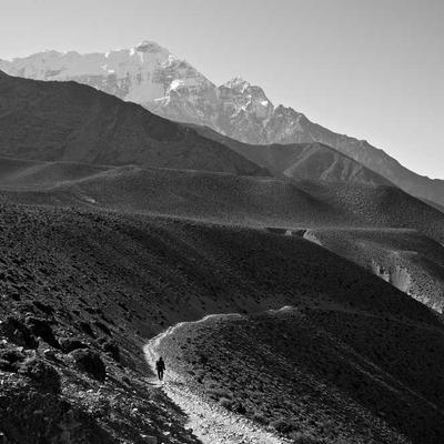 Gardena Bird Bath Stone 51cm - Variant 12