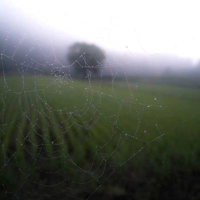 Knipex Screwdriver Set 75pc