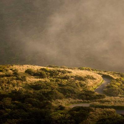 Ryobi Safety Glasses Clear