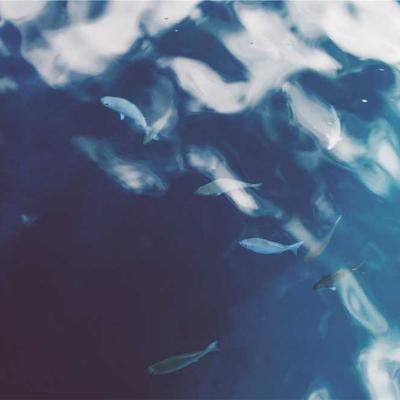 Stanley Anchor Kit 3300pc