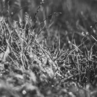 Gedore PTFE Tape 19m 5-Pack - Variant 11