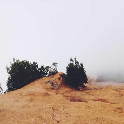 Bahco Stud Finder 55-in-1