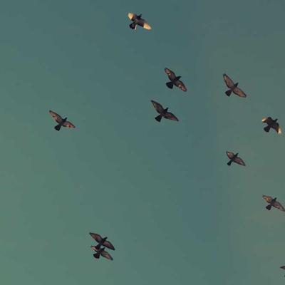 Joseph Joseph Ceramic Baking Dish 30cm