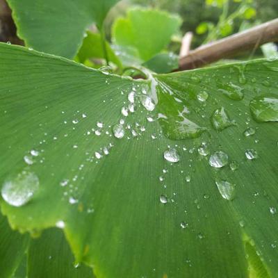 BPI Sports First Aid Kit 8200pc