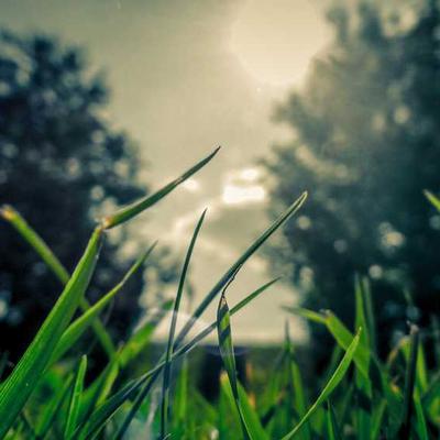 Beurer Foot Spa 88L Heated - Variant 8