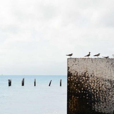 USN Essential Oil Set 37pc - Variant 6