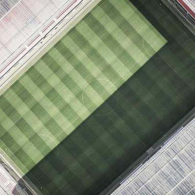 Vitality Plant Protein 18kg - Variant 11