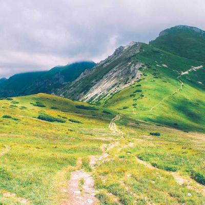 Omron Back Support Belt 59" - Variant 6