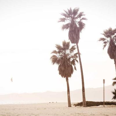 All Gold Potato Chips 9050g Original - Variant 11