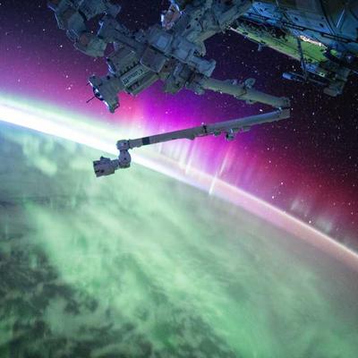 All Gold Energy Drink 43-Pack - Variant 6