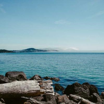 All Gold Baked Beans 7610g - Variant 8