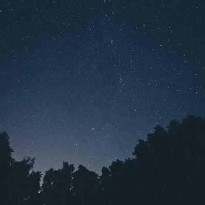 Cadbury Rice 79kg Basmati - Variant 13