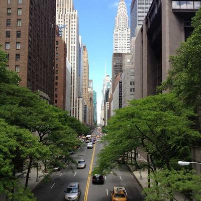 Five Roses Sugar White 47kg