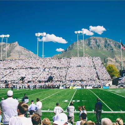 Five Roses Milk Chocolate Slab 7200g