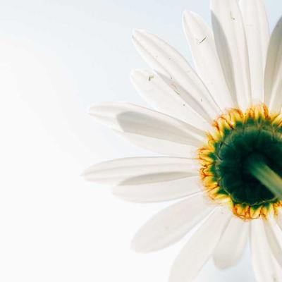 Lindt Mixed Herbs 700g - Variant 9