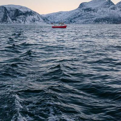 All Gold Almonds 8900g Raw - Variant 7