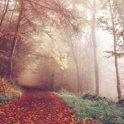 Baby Jogger Car Seat Group 7 i-Size - Variant 6